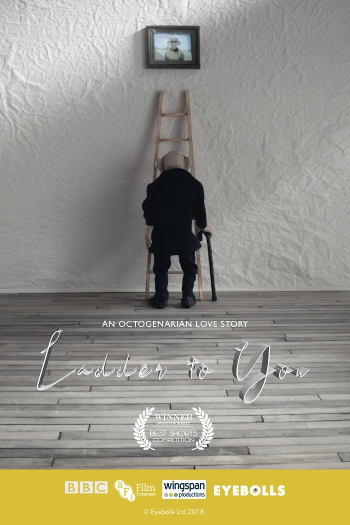 Ladder to You i gruppen Alla filmer hos Mohamad shop (548049)