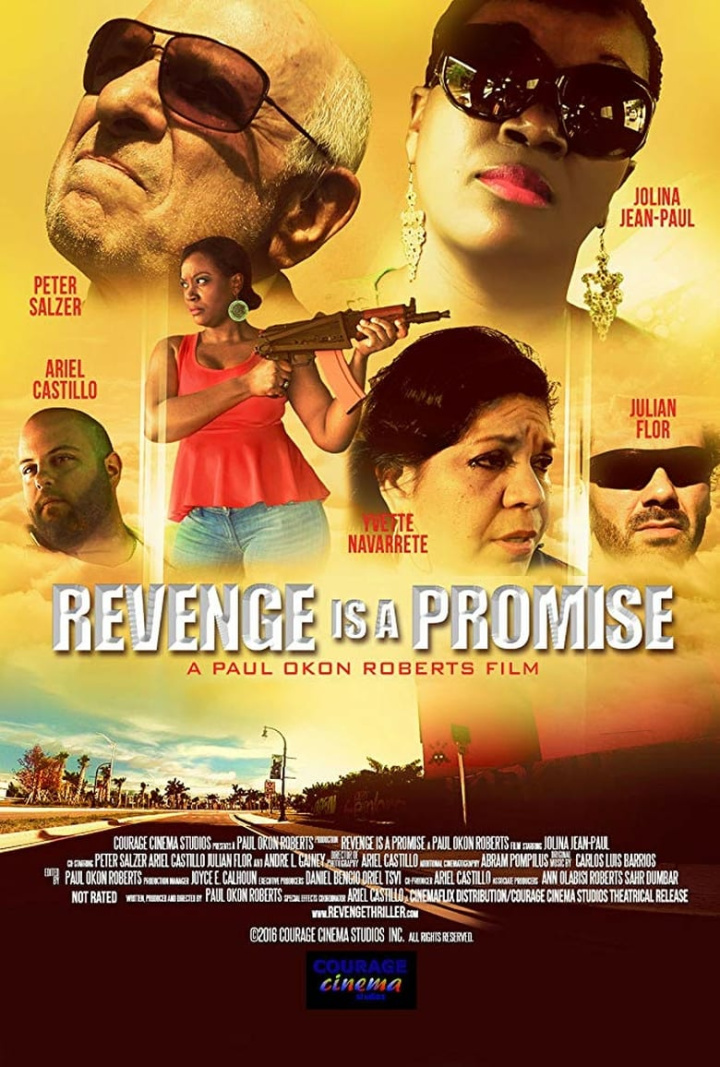Revenge is a Promise i gruppen Thriller hos Mohamad shop (548490)