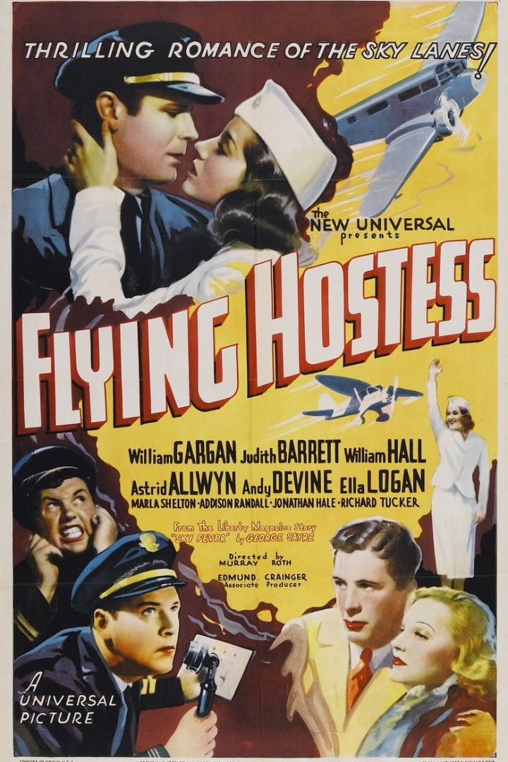 Flying Hostess i gruppen Alla filmer hos Mohamad shop (548927)