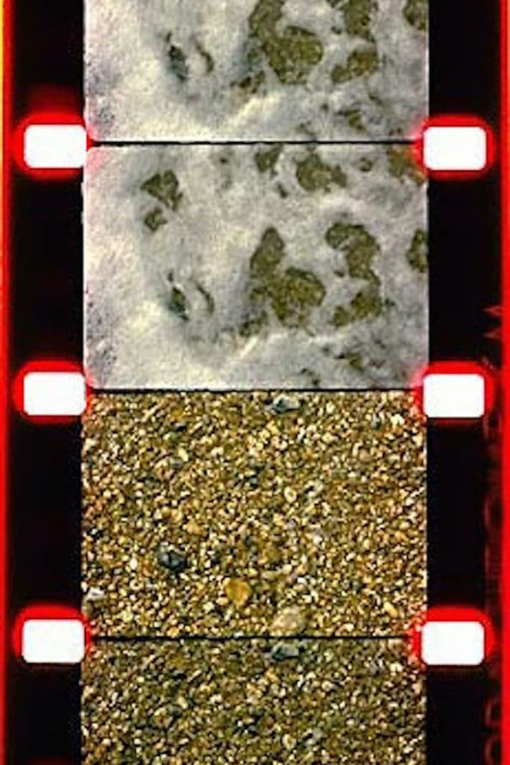 Sea/Shore i gruppen Alla filmer / Documentary hos Mohamad shop (549125)