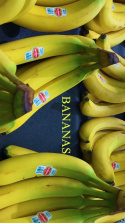 Bananas