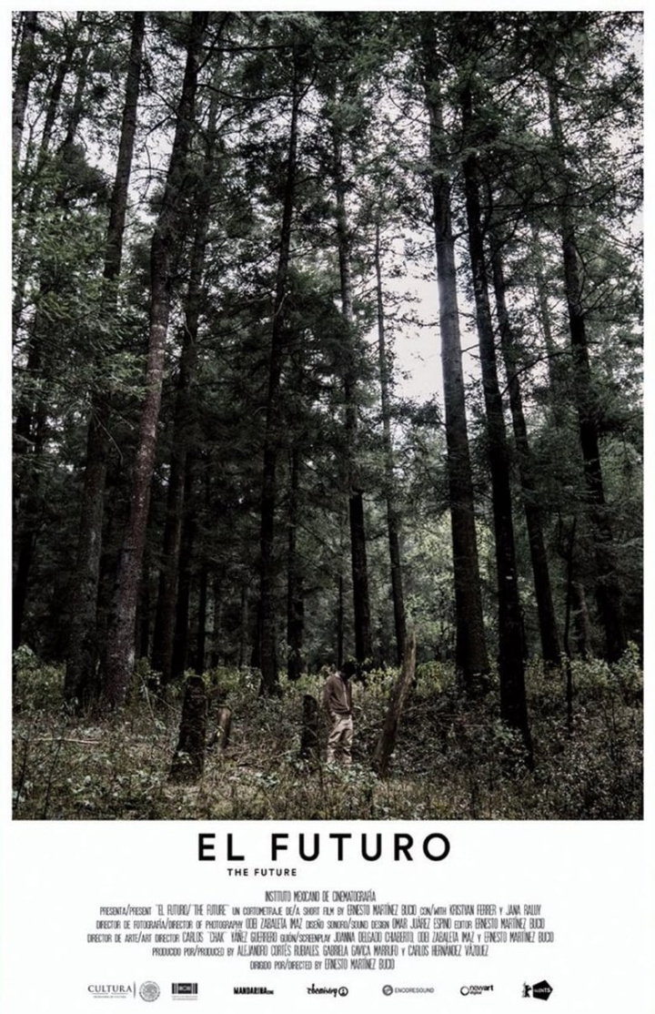 The Future i gruppen Alla filmer hos Mohamad shop (549370)