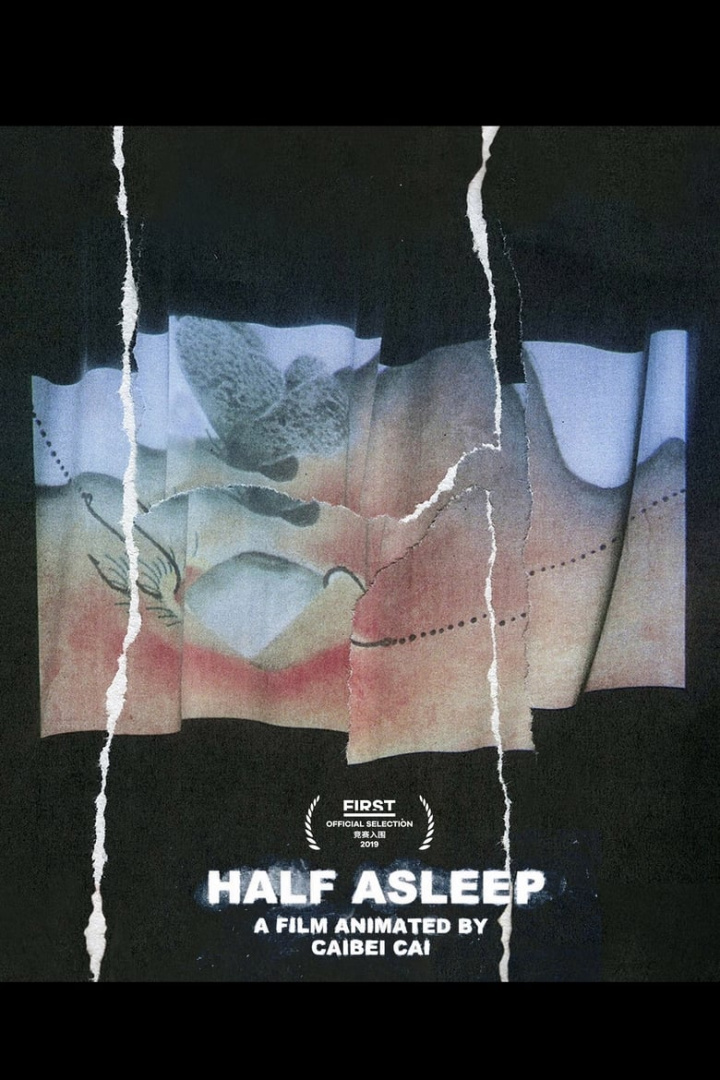 Half Asleep i gruppen Alla filmer hos Mohamad shop (549642)