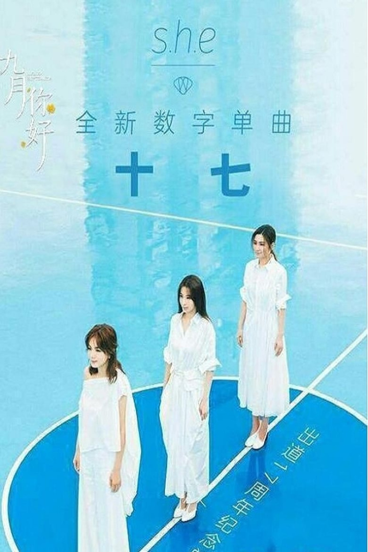 S.H.E Seventeen Year Old taiwan concert i gruppen Alla filmer hos Mohamad shop (549730)