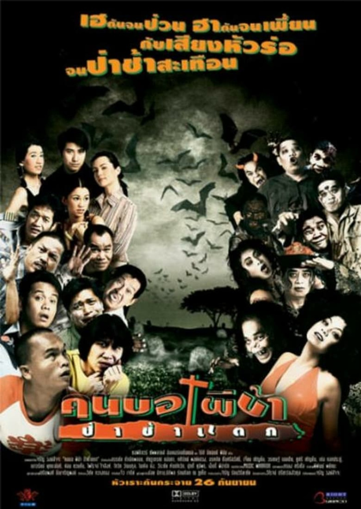 Chaos at the Graveyard i gruppen Alla filmer / Horror hos Mohamad shop (549739)