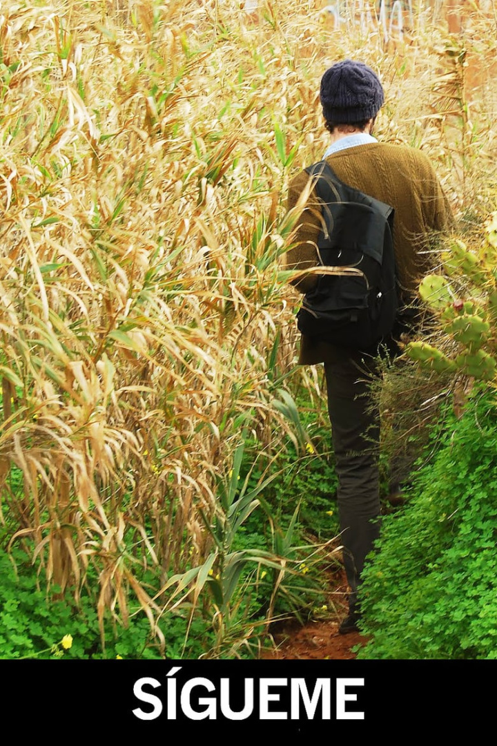 Follow Me i gruppen Alla filmer / Drama hos Mohamad shop (549850)