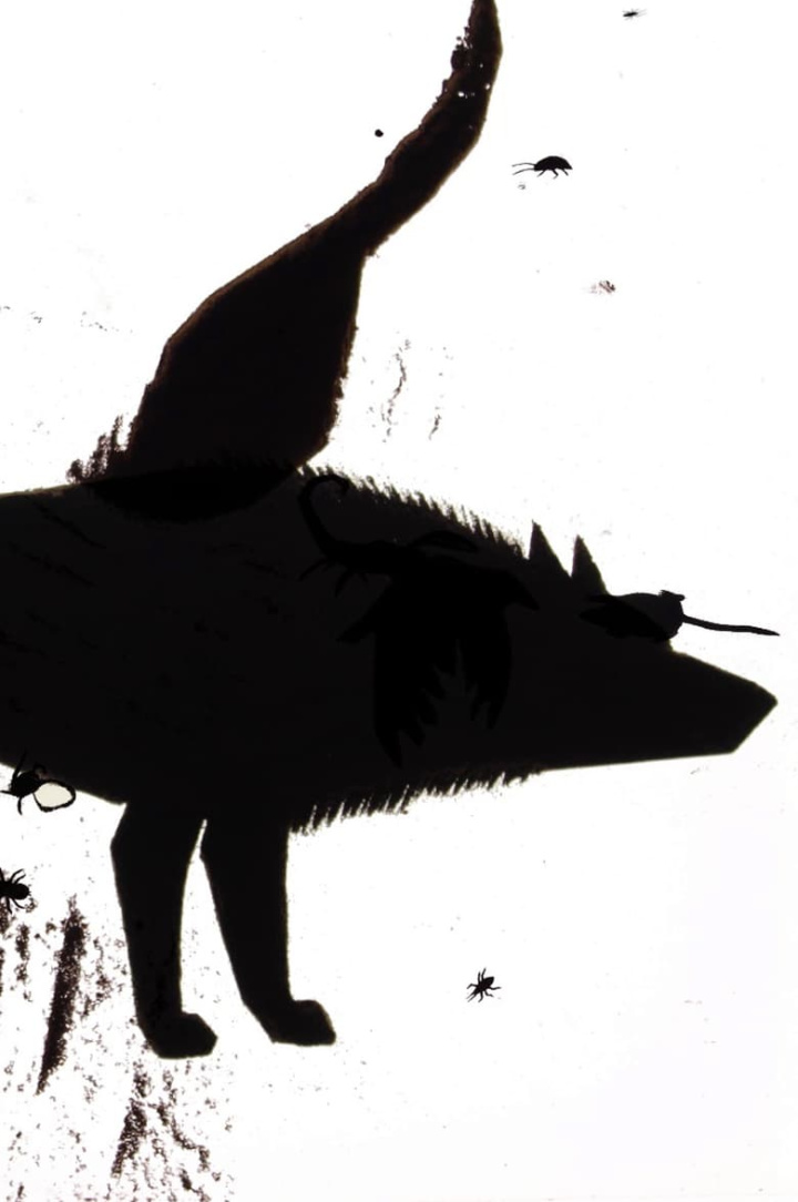 From Under Which Rock Did They Crawl Out i gruppen Alla filmer / Animation hos Mohamad shop (550311)