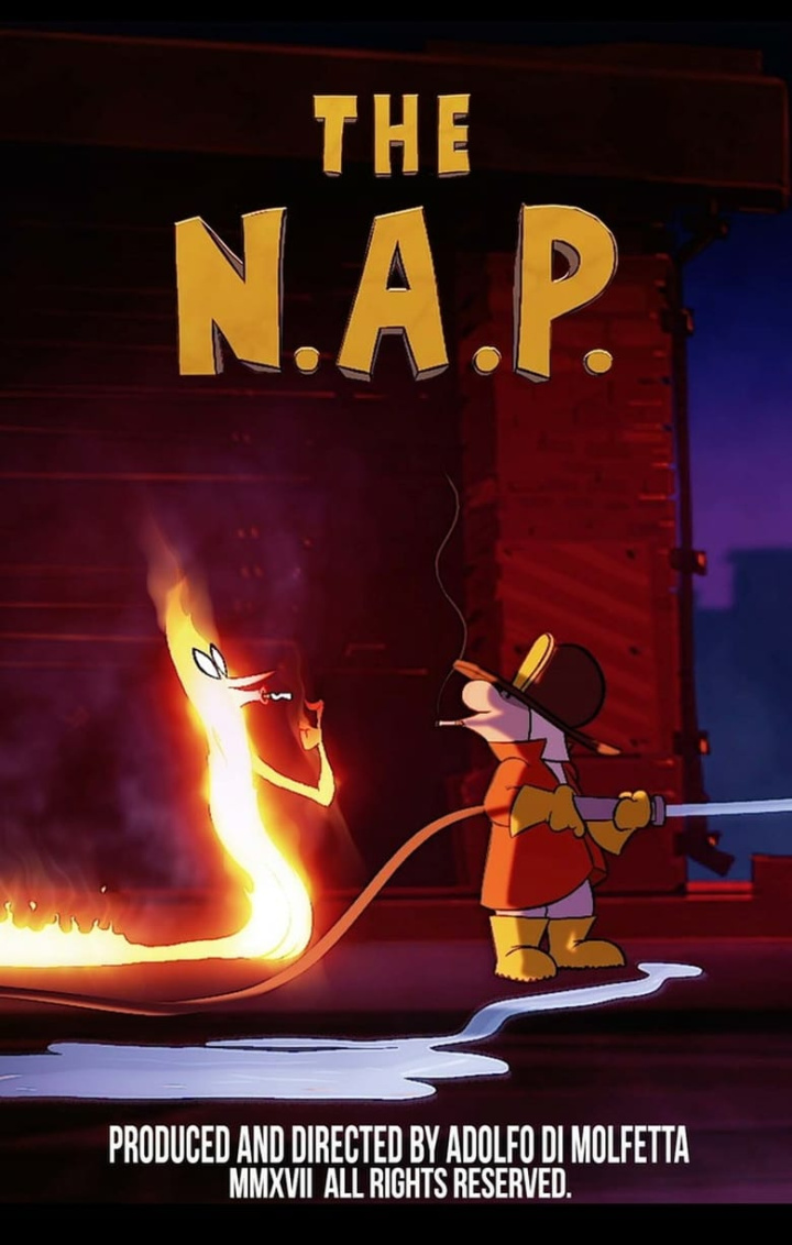 The N.A.P. i gruppen Alla filmer hos Mohamad shop (550573)