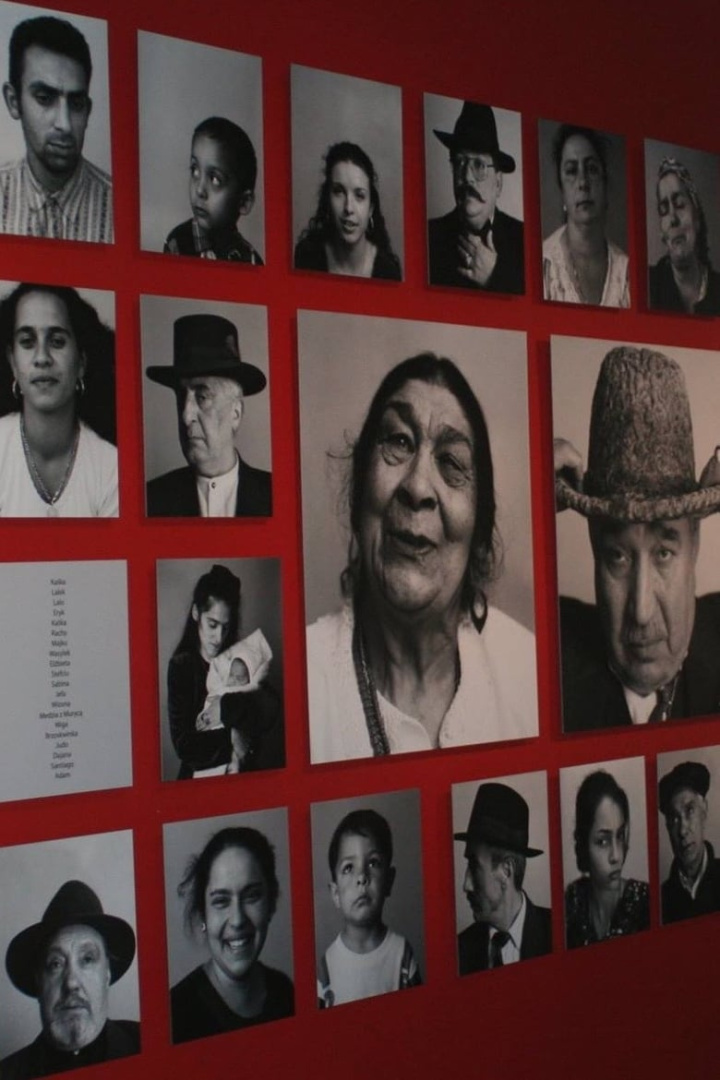 The Last Romani in Auschwitz i gruppen Alla filmer hos Mohamad shop (550591)