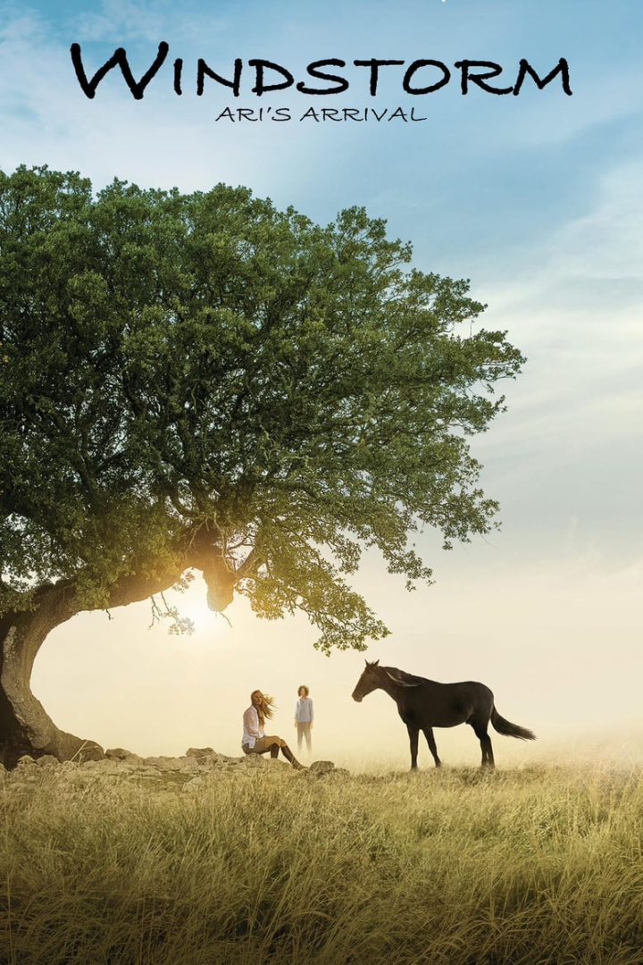 Windstorm 4 i gruppen Alla filmer / Family hos Mohamad shop (550755)
