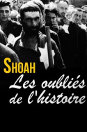 Shoah, les oubliés de l\'histoire