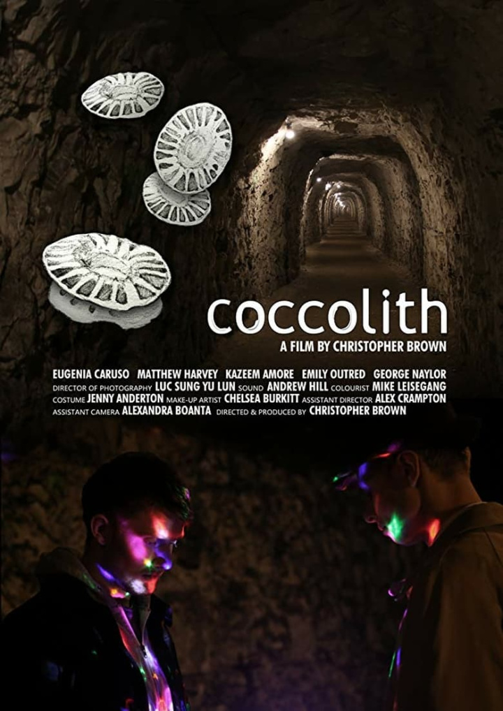 coccolith i gruppen Alla filmer / Mystery hos Mohamad shop (550815)