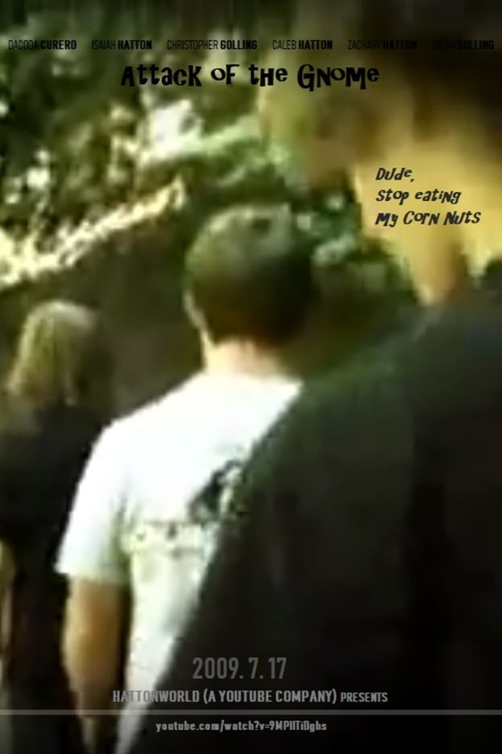 Attack of the Gnome i gruppen Action hos Mohamad shop (551233)