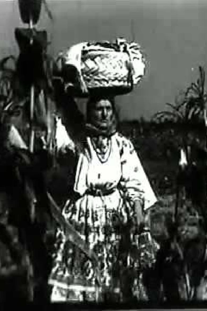 A Day at Turopolje Community i gruppen Alla filmer / Documentary hos Mohamad shop (551708)