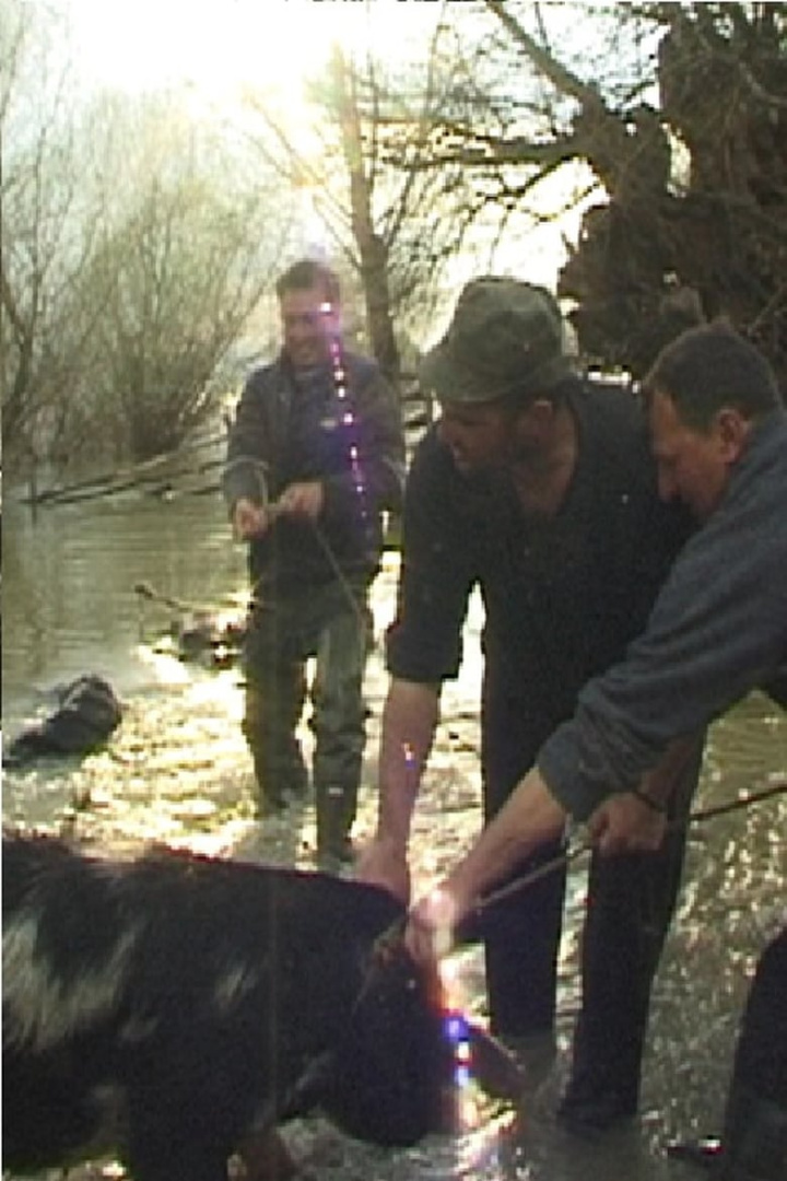 Soap in Danube Opera i gruppen Alla filmer / Drama hos Mohamad shop (552156)