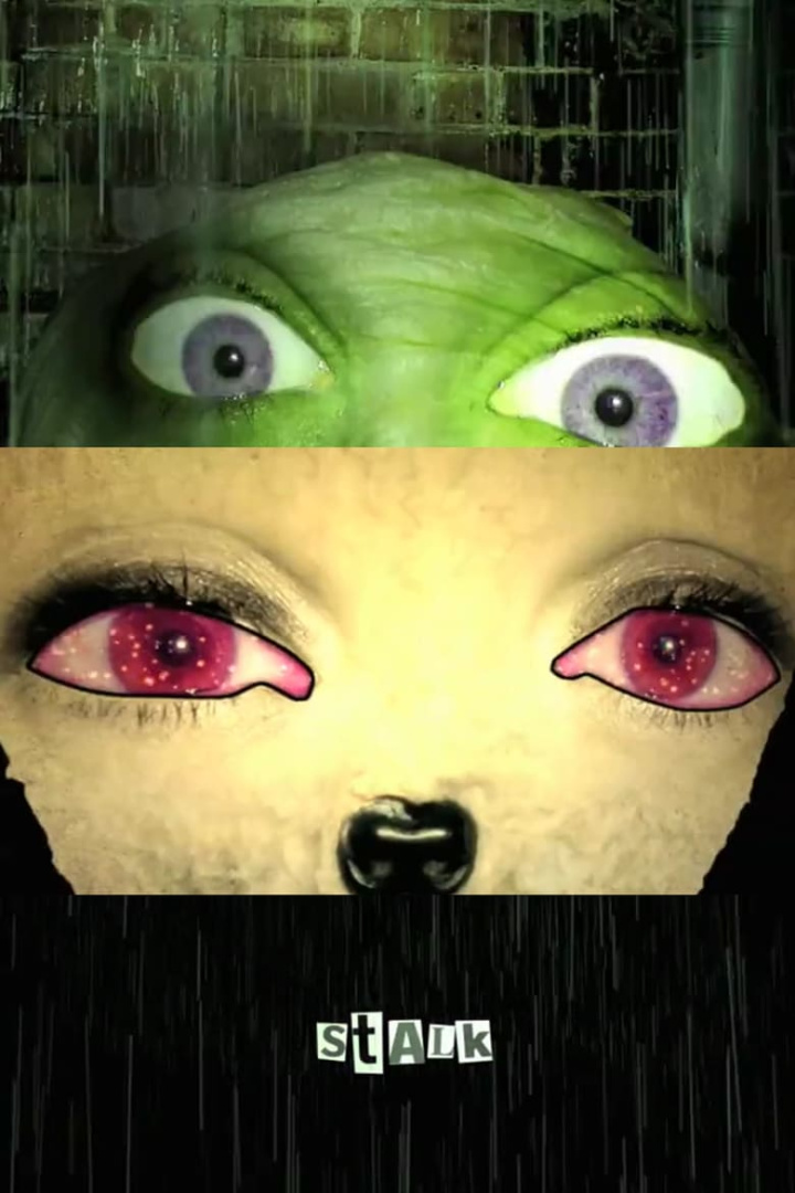 Stalk i gruppen Alla filmer / Romance hos Mohamad shop (552342)