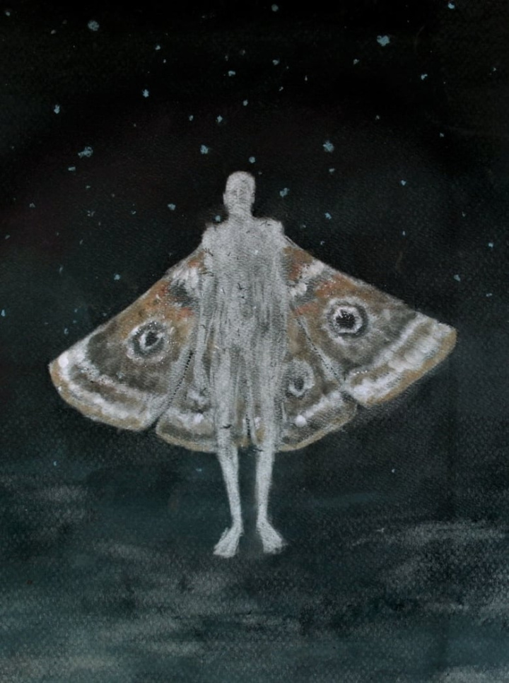 Phototaxis i gruppen Alla filmer / Documentary hos Mohamad shop (552712)