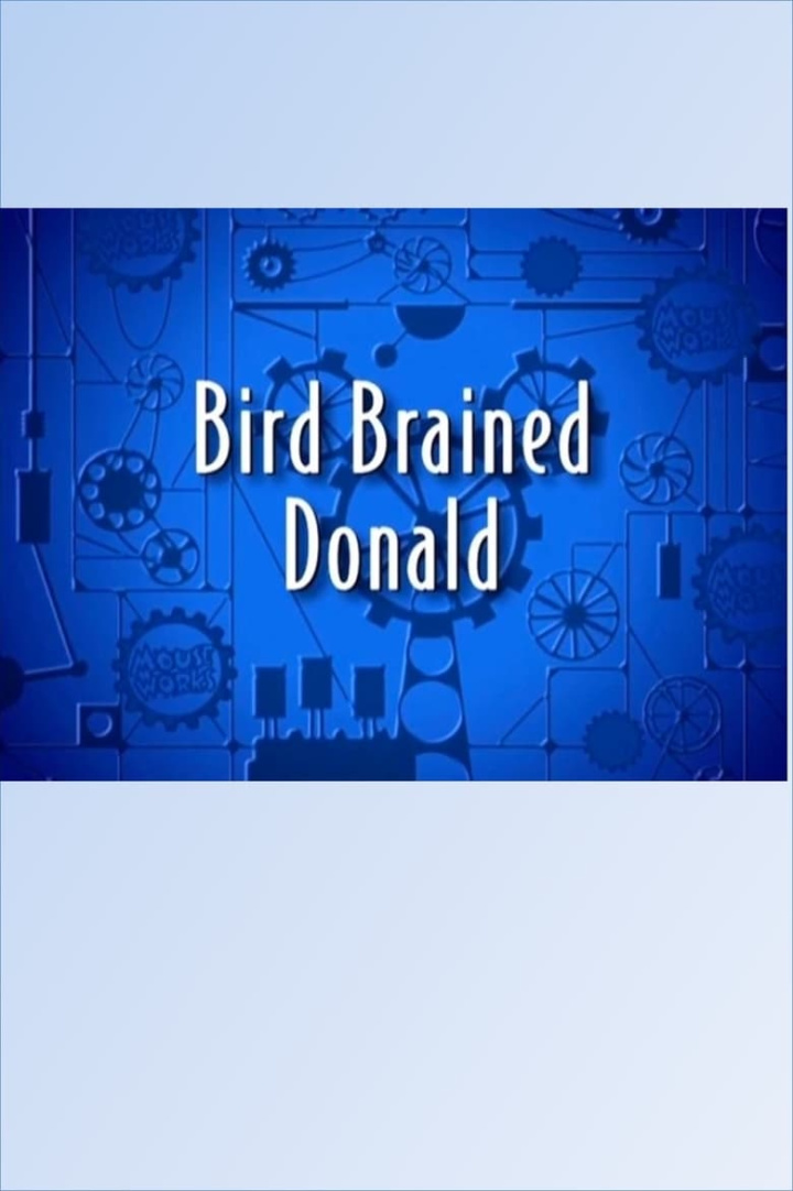 Bird Brained Donald i gruppen Alla filmer hos Mohamad shop (552863)
