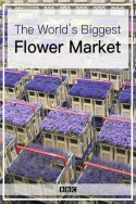 The World\'s Biggest Flower Market