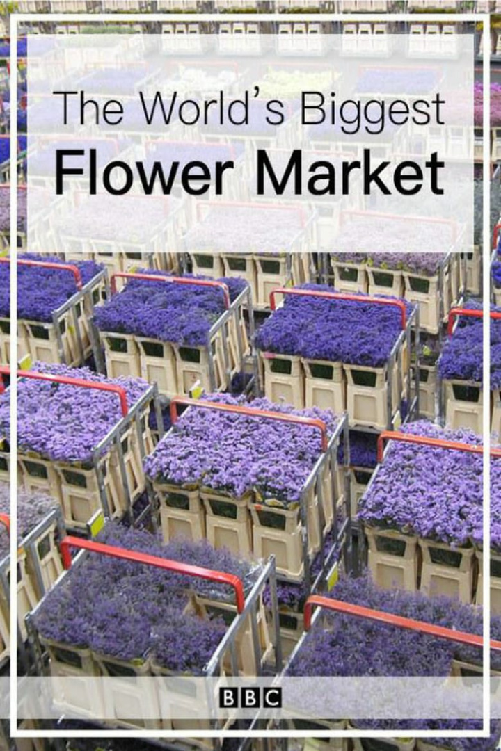 The World\'s Biggest Flower Market i gruppen Alla filmer hos Mohamad shop (553366)