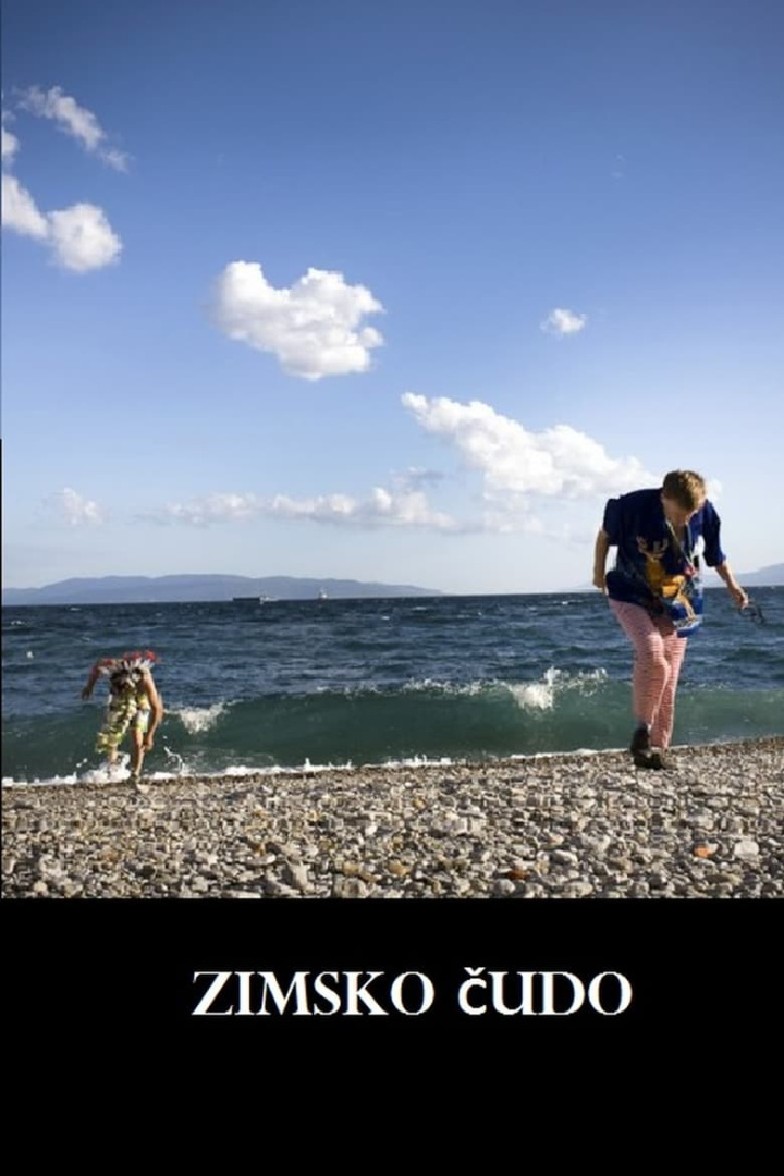 Winter Miracle i gruppen Alla filmer / Drama hos Mohamad shop (553922)