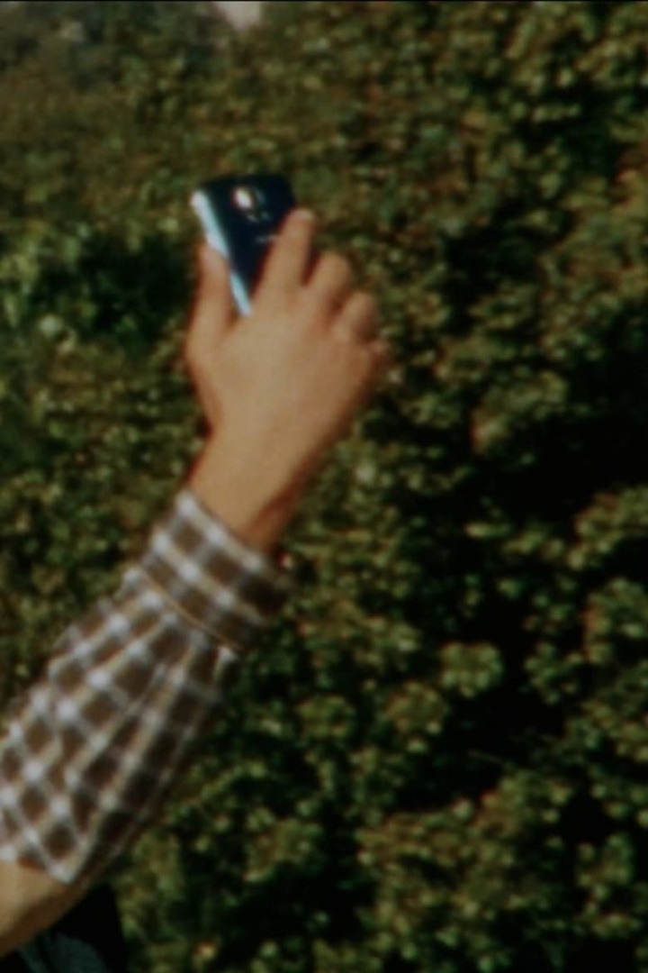 Cellular Immune Response i gruppen Alla filmer / Documentary hos Mohamad shop (554402)