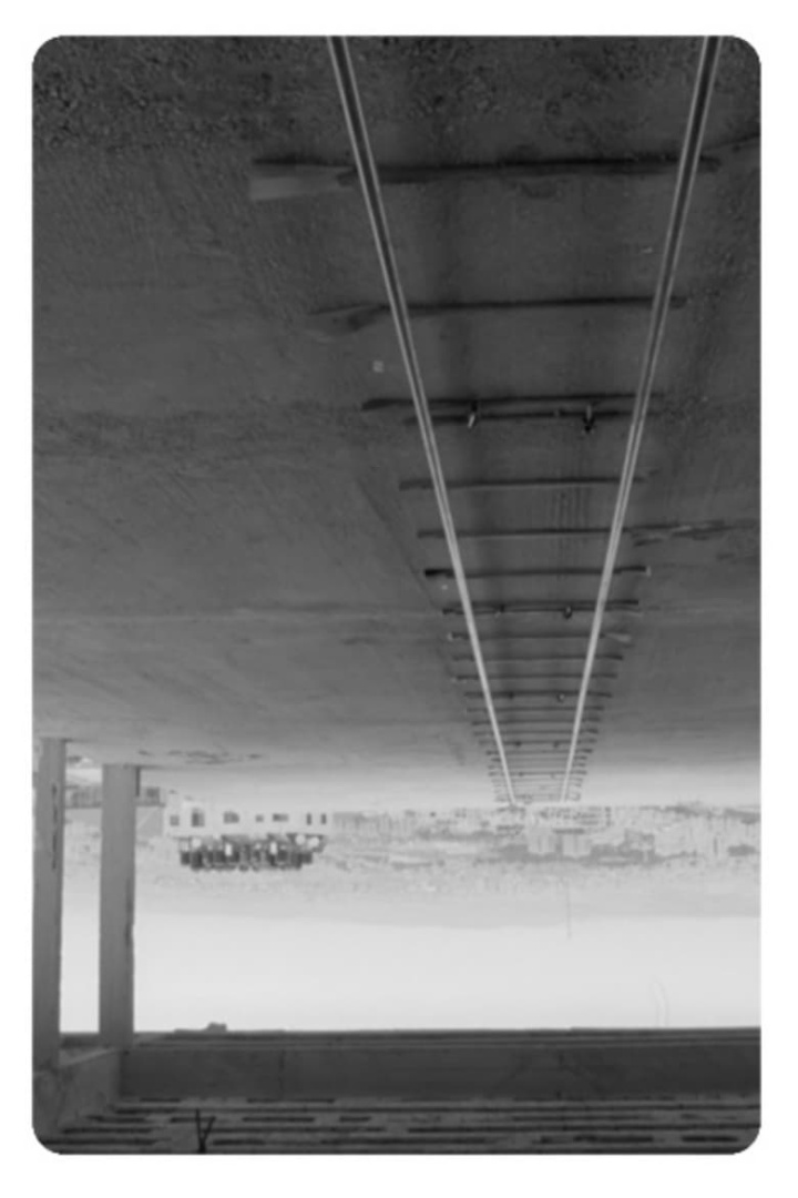 A Free Moment i gruppen Alla filmer / Documentary hos Mohamad shop (554420)