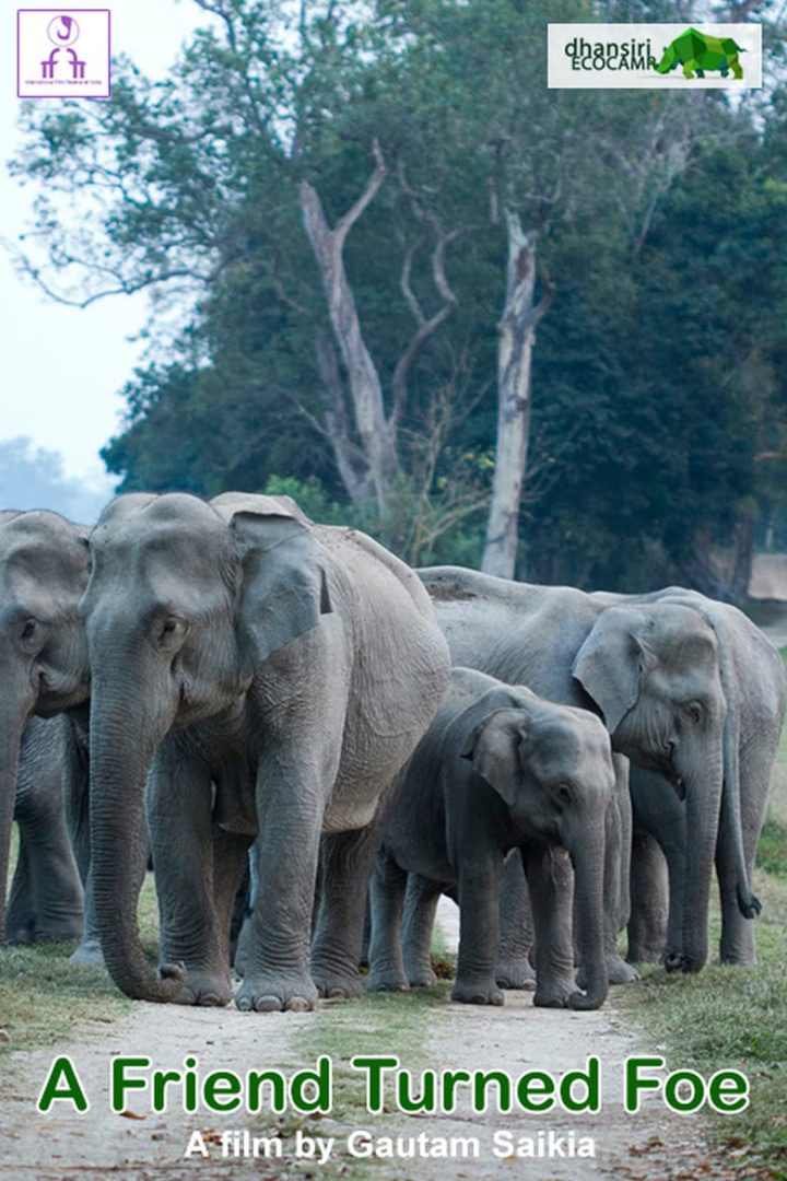 A Friend Turned Foe i gruppen Alla filmer / Documentary hos Mohamad shop (554763)