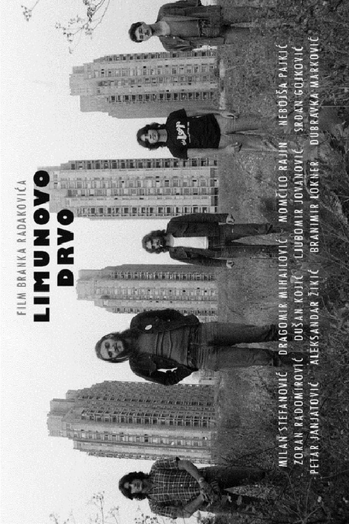 Lemon Tree i gruppen Alla filmer hos Mohamad shop (554946)