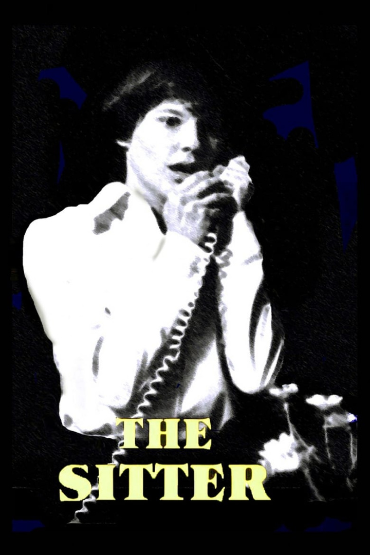 The Sitter i gruppen Alla filmer / Thriller hos Mohamad shop (555077)