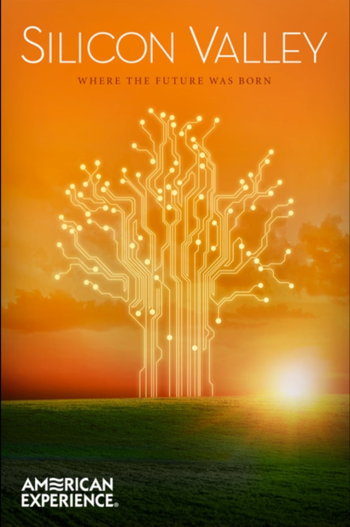Silicon Valley i gruppen Alla filmer / Documentary hos Mohamad shop (555107)