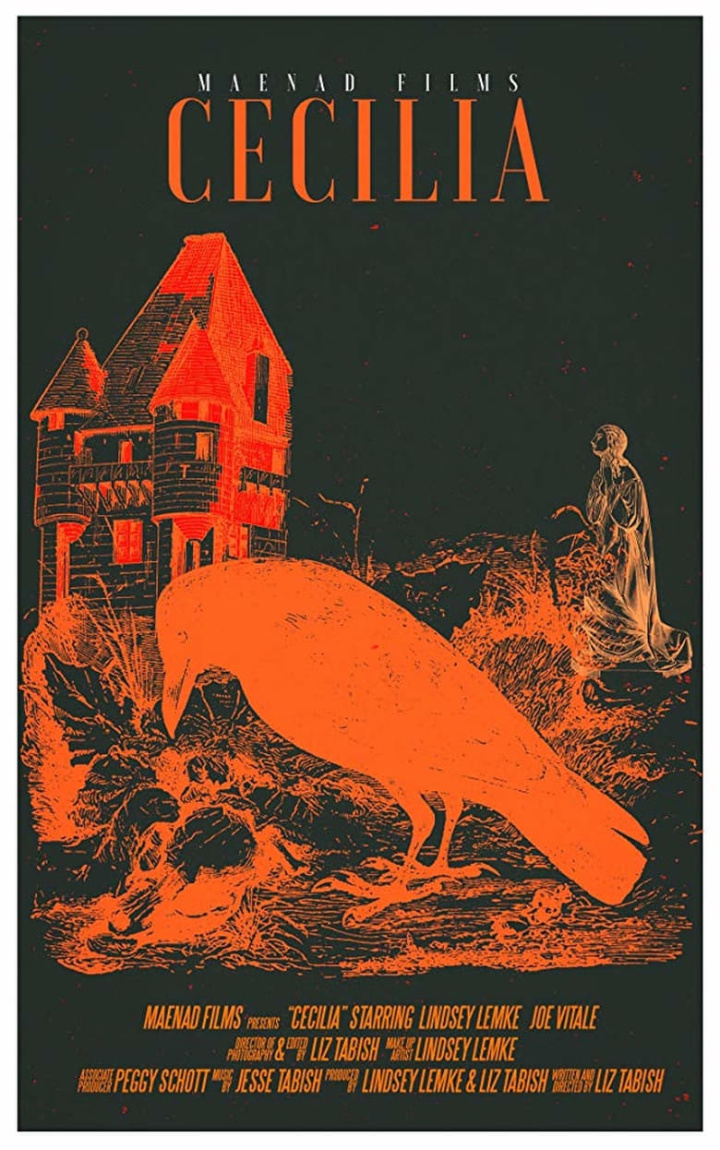 Cecilia i gruppen Alla filmer / Horror hos Mohamad shop (555628)