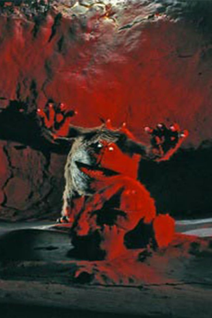 A Forest Story i gruppen Alla filmer / Music hos Mohamad shop (555945)