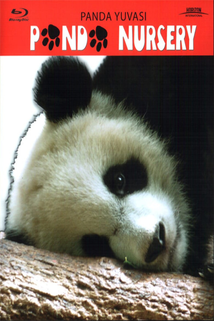 Panda Nursery i gruppen Alla filmer / Documentary hos Mohamad shop (556248)
