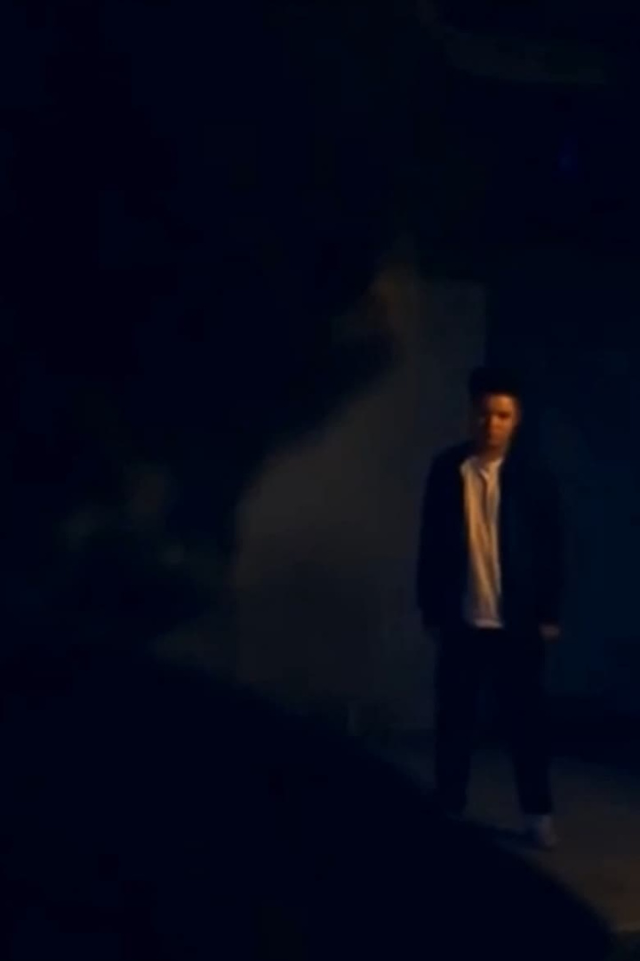 Two Bois Fighting i gruppen Alla filmer / Thriller hos Mohamad shop (556616)