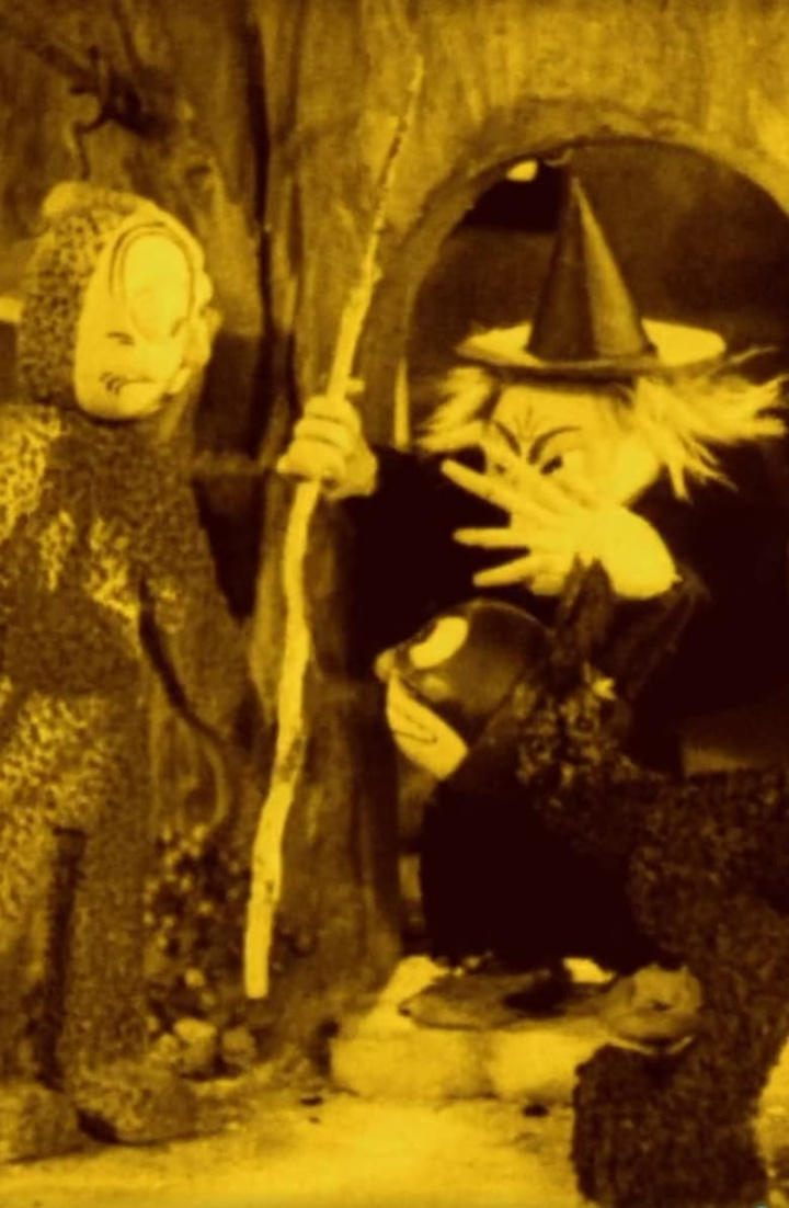 The Witch\'s Cat i gruppen Alla filmer / Animation hos Mohamad shop (557151)