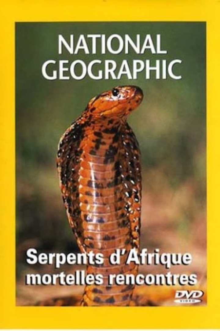 National Geographic Les serpents d\'Afrique i gruppen Alla filmer hos Mohamad shop (557335)