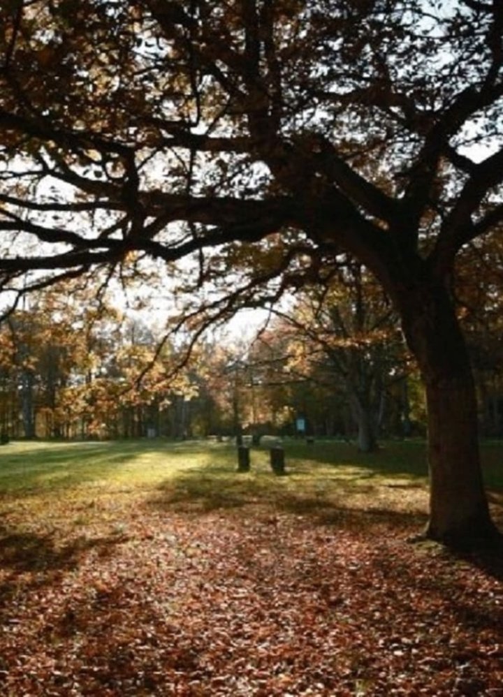 The Last Photo i gruppen Alla filmer / Documentary hos Mohamad shop (557350)