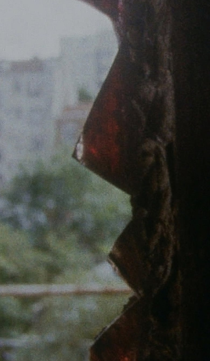 Skinnings i gruppen Alla filmer / Documentary hos Mohamad shop (557360)