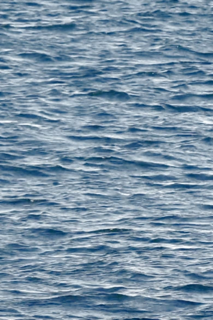 Video For Vladimir i gruppen Alla filmer / Drama hos Mohamad shop (557398)