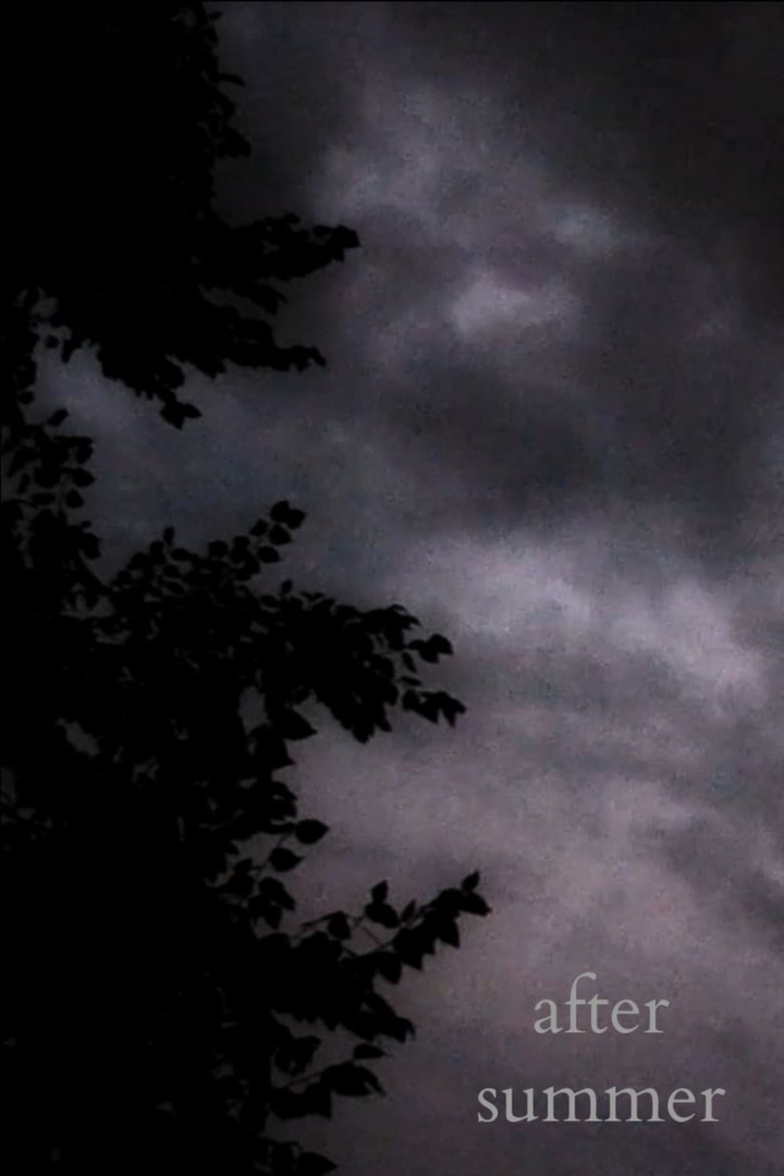 After Summer i gruppen Alla filmer / Music hos Mohamad shop (557516)