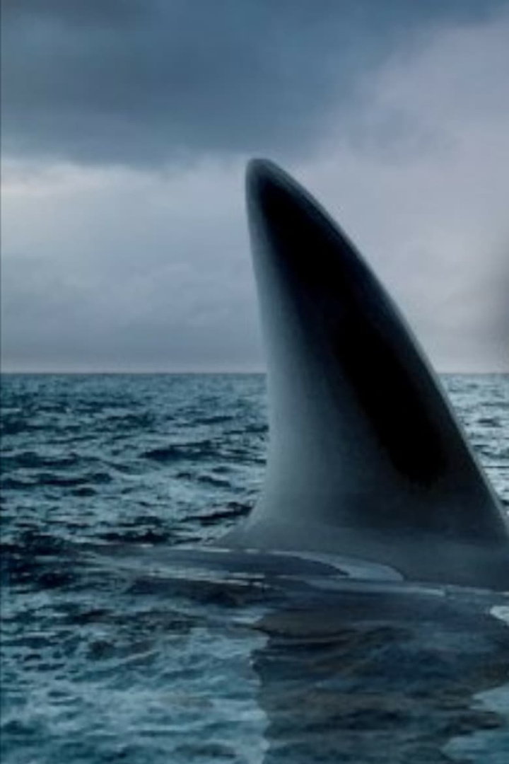 Ocean of Fear i gruppen Alla filmer / Documentary hos Mohamad shop (557589)