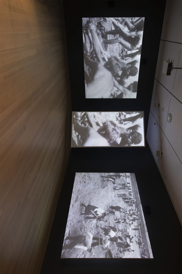 We Build the Country—The Country Builds Us! i gruppen Alla filmer / Documentary hos Mohamad shop (558339)