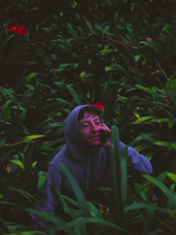 Misery Loves Company i gruppen Alla filmer / Drama hos Mohamad shop (558439)