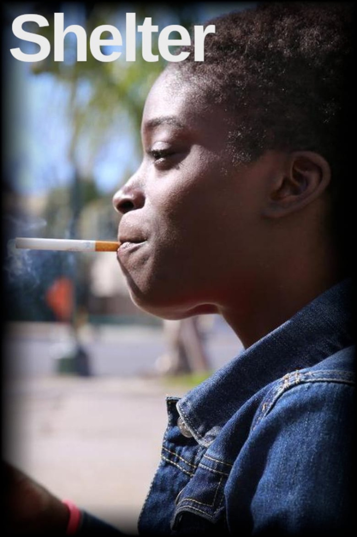 Shelter i gruppen Alla filmer hos Mohamad shop (558633)