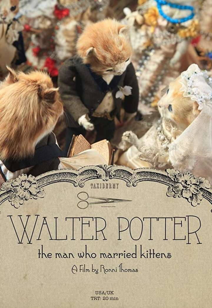 Walter Potter: The Man Who Married Kittens i gruppen Alla filmer / Documentary hos Mohamad shop (558637)