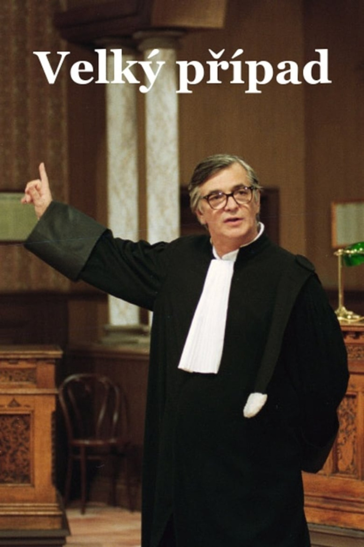 Velký případ i gruppen Alla filmer / TV Movie hos Mohamad shop (558917)