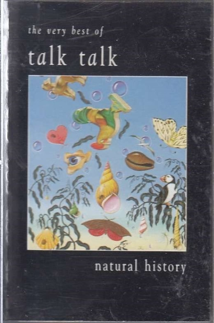 Natural History: The Very Best of Talk Talk i gruppen Alla filmer / Music hos Mohamad shop (559035)