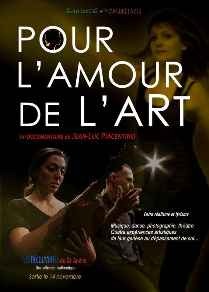 Pour l\'amour de l\'art i gruppen Alla filmer / Documentary hos Mohamad shop (559510)