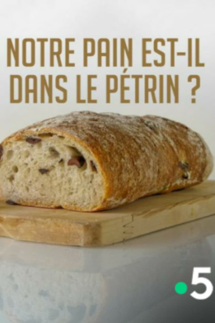 Notre pain est-il dans le pétrin ? i gruppen Alla filmer / Documentary hos Mohamad shop (559785)